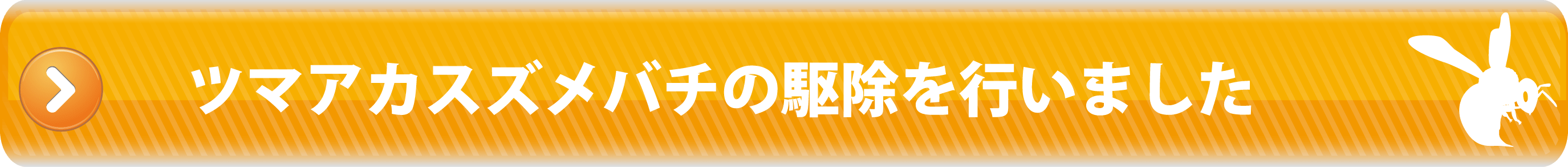 ツマアカスズメバチの駆除を行いました