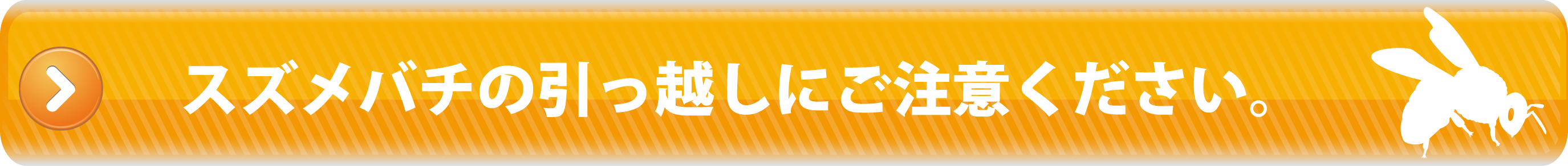 スズメバチの引っ越しにご注意ください