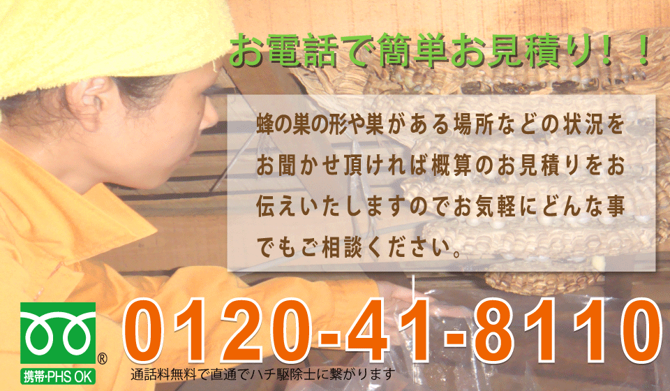 蜂の巣の状況をお聞かせいただければ概算のお見積りをお伝えします。