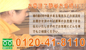 四日市市の【蜂駆除専門】蜂に特化し研究を重ね創業30年の信頼