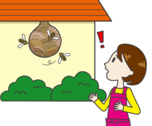軒下にできた蜂の巣のイラスト