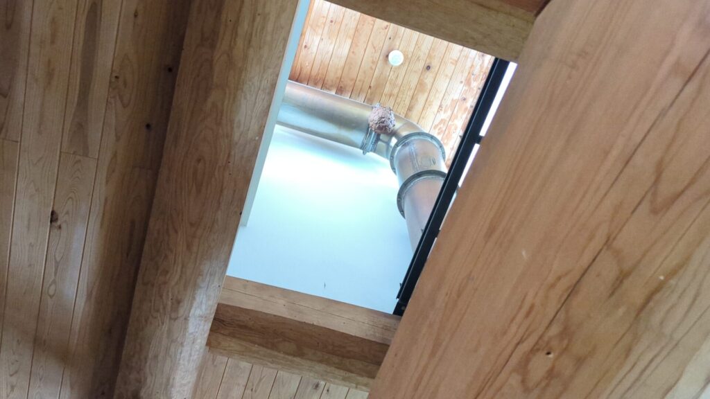 多治見市 永保寺 授与所近くのキイロスズメバチの巣