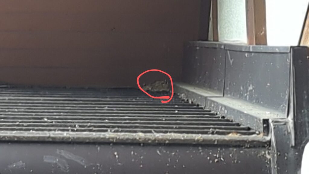 奥飛騨ガイアパークセンターに併設された公衆トイレの赤丸部分の屋根の空気穴の隙間からモンスズメバチが出入りしています。
少し巣材が見えている状況。