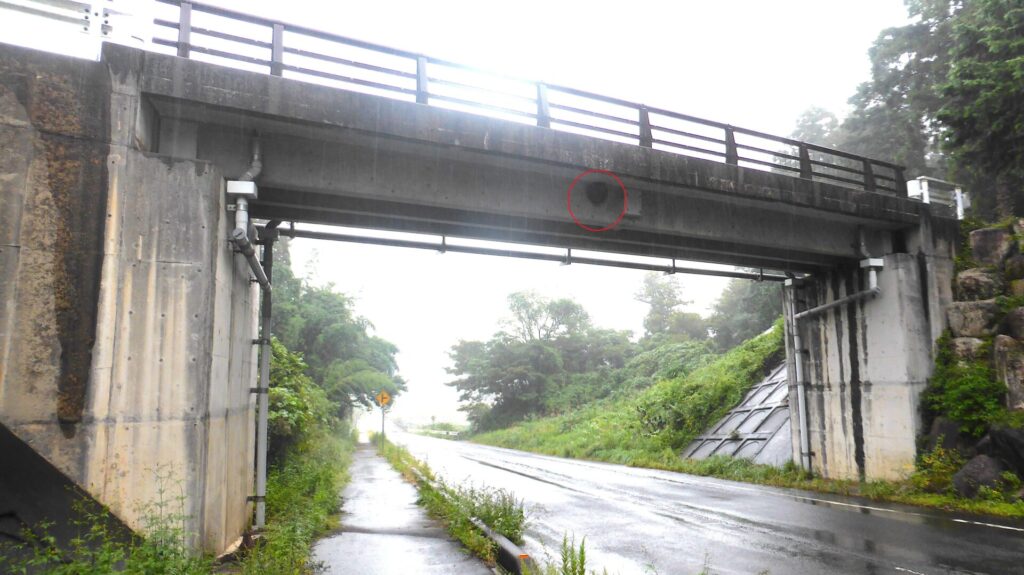 いなべ市藤原町の県道607号線に架かる橋梁。高所（主桁側面）に作られたキイロスズメバチの引越し巣