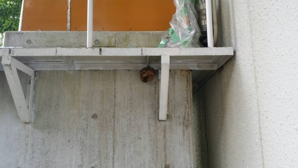 名古屋市千種区での駆除事例：設備点検用足場裏に作られたコガタスズメバチの巣