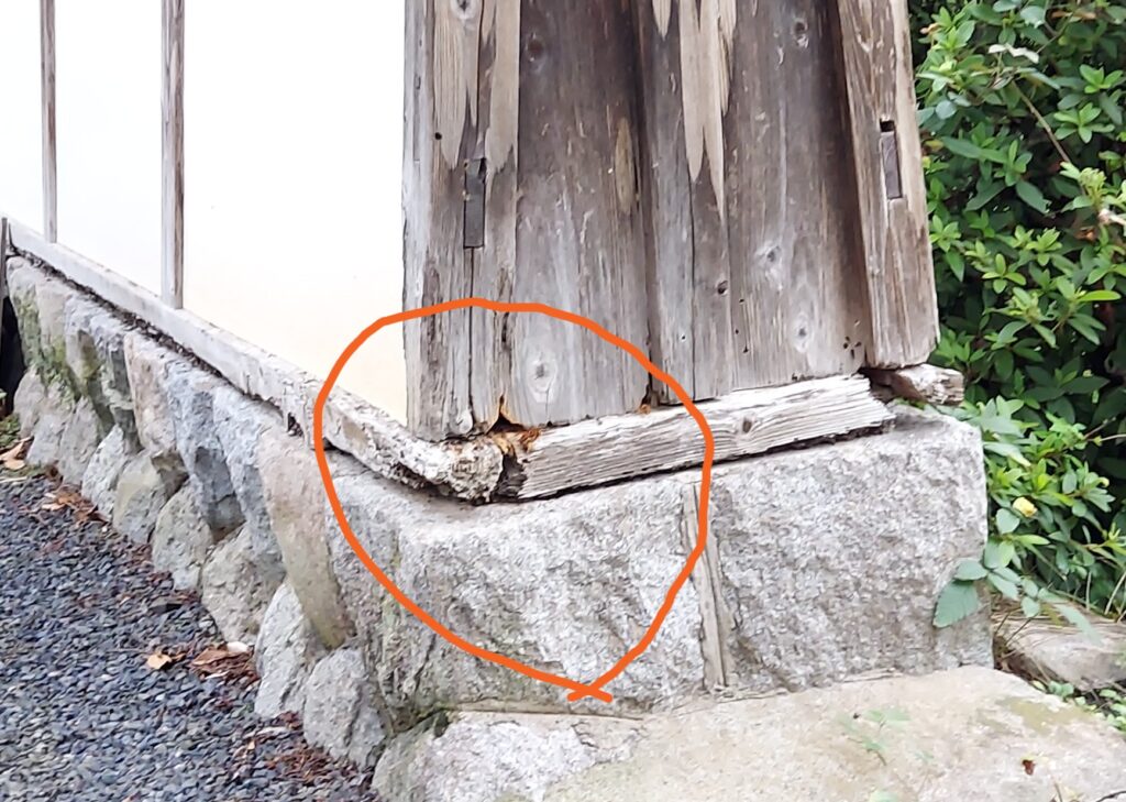 キイロスズメバチが隙間から出入りする、お寺の山門脇の腰板部分（三重県鈴鹿市）
