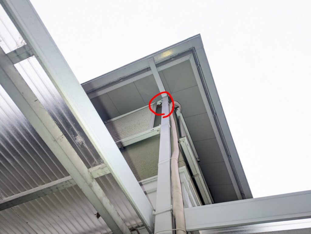 名古屋市守山区の2階の生活動線からは完全に死角になった場所に営巣したコガタスズメバチの初期巣。
お隣さんが気づかなければ最悪の場合、刺傷被害に遭っていたかも分からない状況。