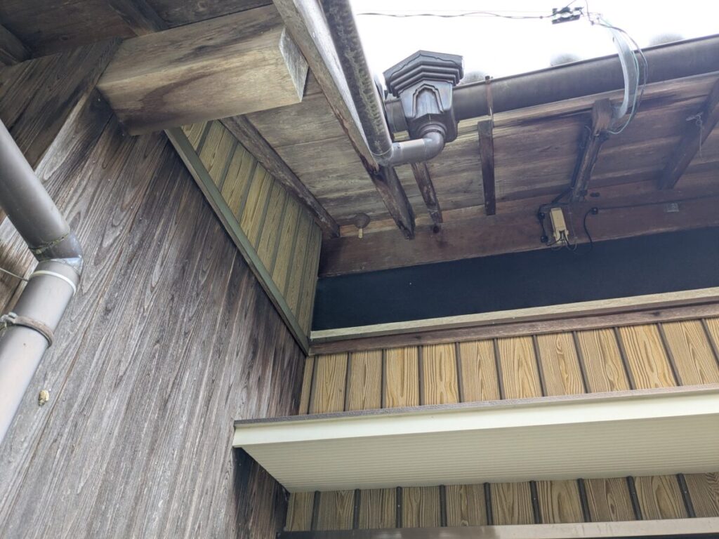 松阪市美濃田町での蜂の巣駆除。玄関の死角になる軒下にできたアシナガバチの巣