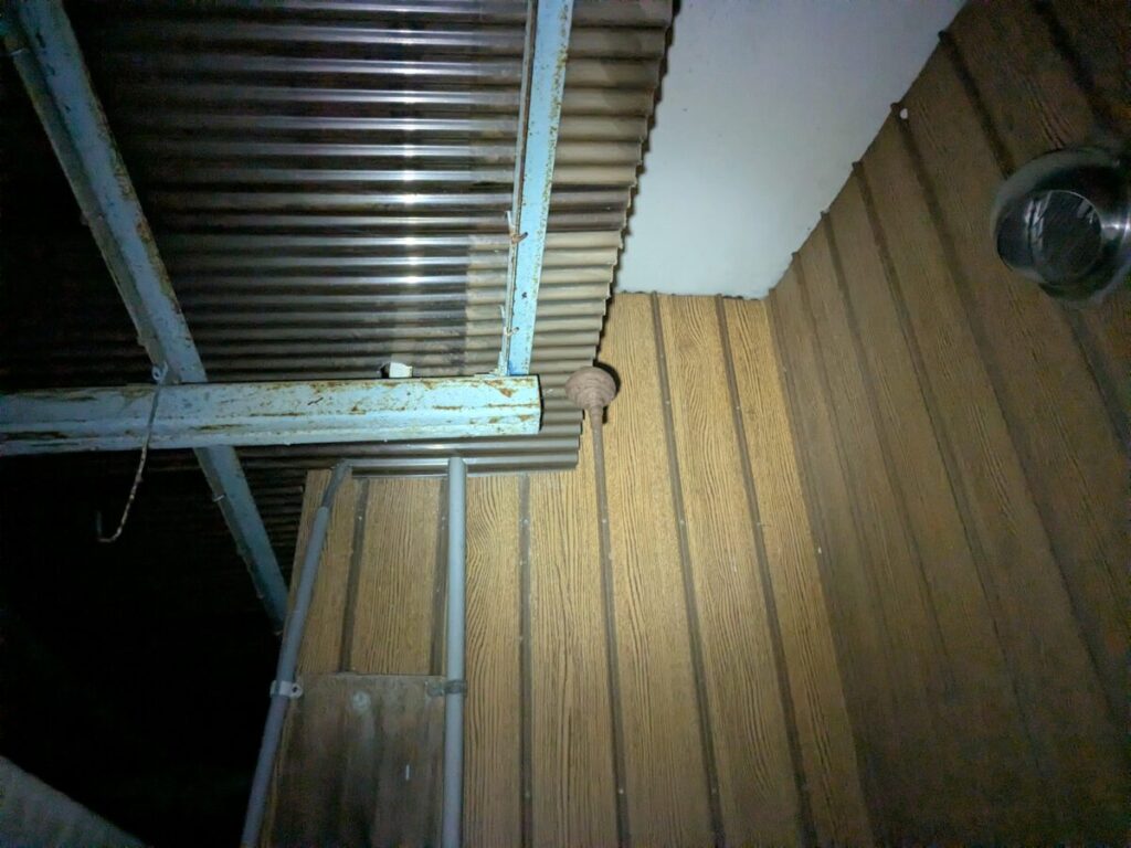 外流しの波板テラス屋根にできたコガタスズメバチの初期巣(とっくり型)