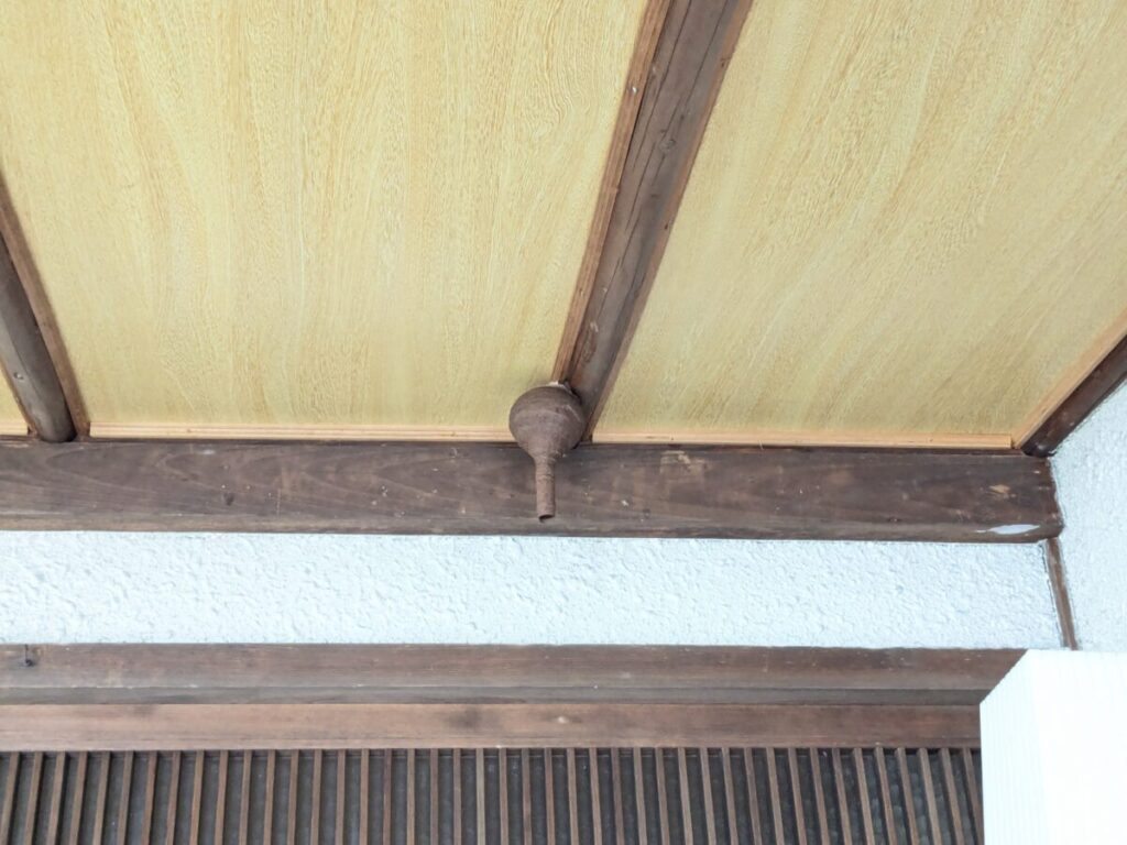 玄関の軒下に作られたコガタスズメバチの初期の巣(とっくり型)。周囲の木材の色と同化している様子。