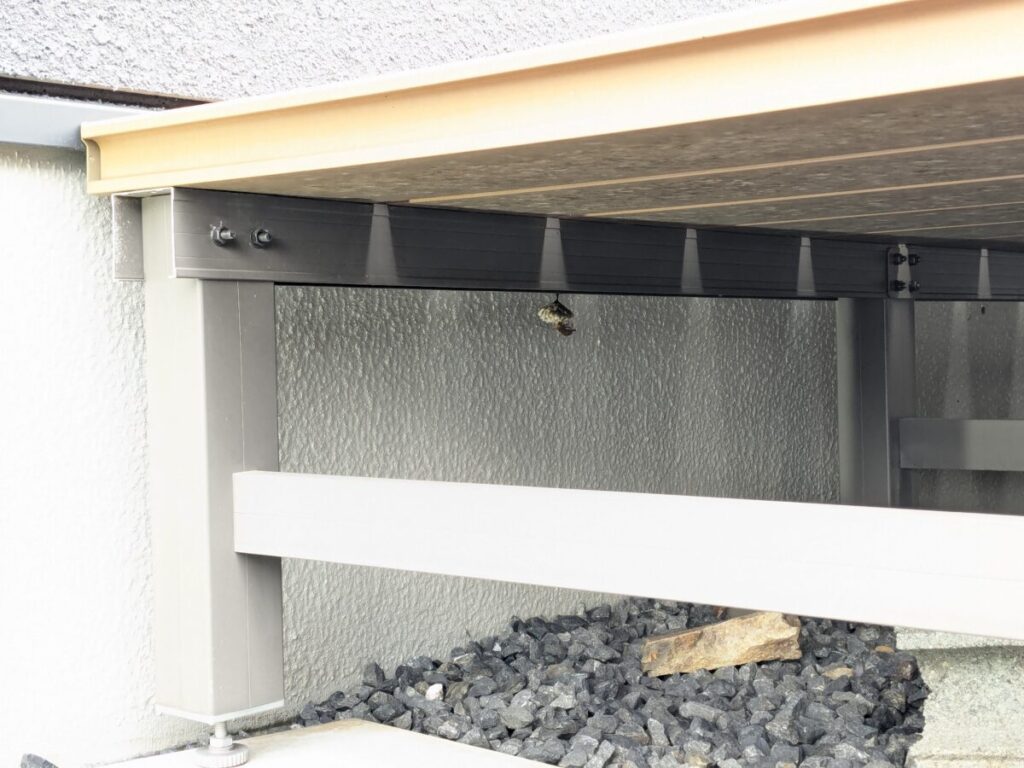 志摩市磯部町の戸建住宅のウッドデッキ下に並走したセグロアシナガバチの初期巣。