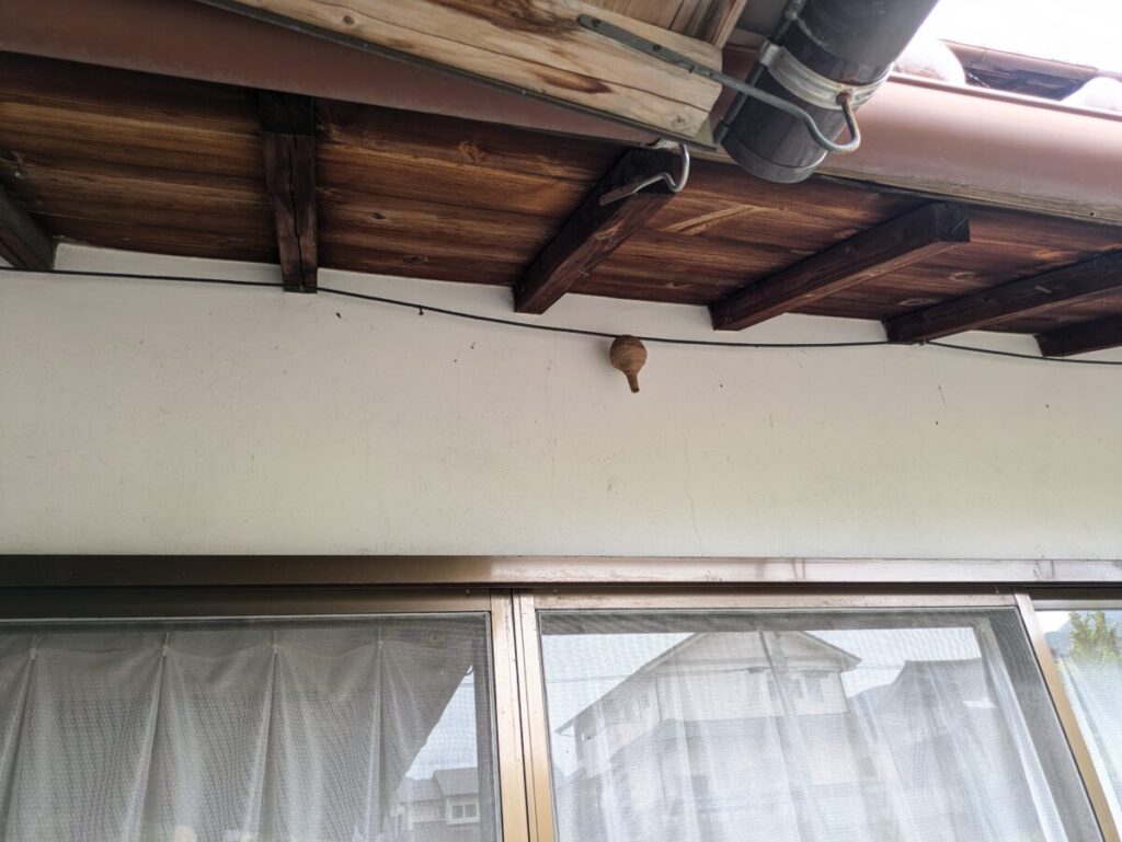 岐阜県中津川市手賀野の住宅軒下、アンテナ線に作られたコガタスズメバチの初期の巣(とっくり型)の様子。