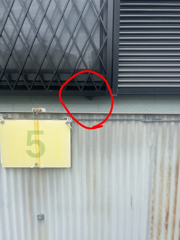 愛知県名古屋市瑞穂区・1階出窓の面格子の下枠と外壁が接する角に営巣したセグロアシナガバチの巣。すぐ下が駐車場に面しており、格子の裏側で死角になっている。